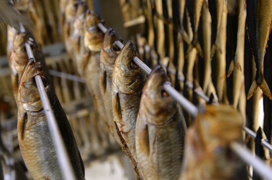 Russkaya Rybnaya Faktoriya fish processing plant in Moscow