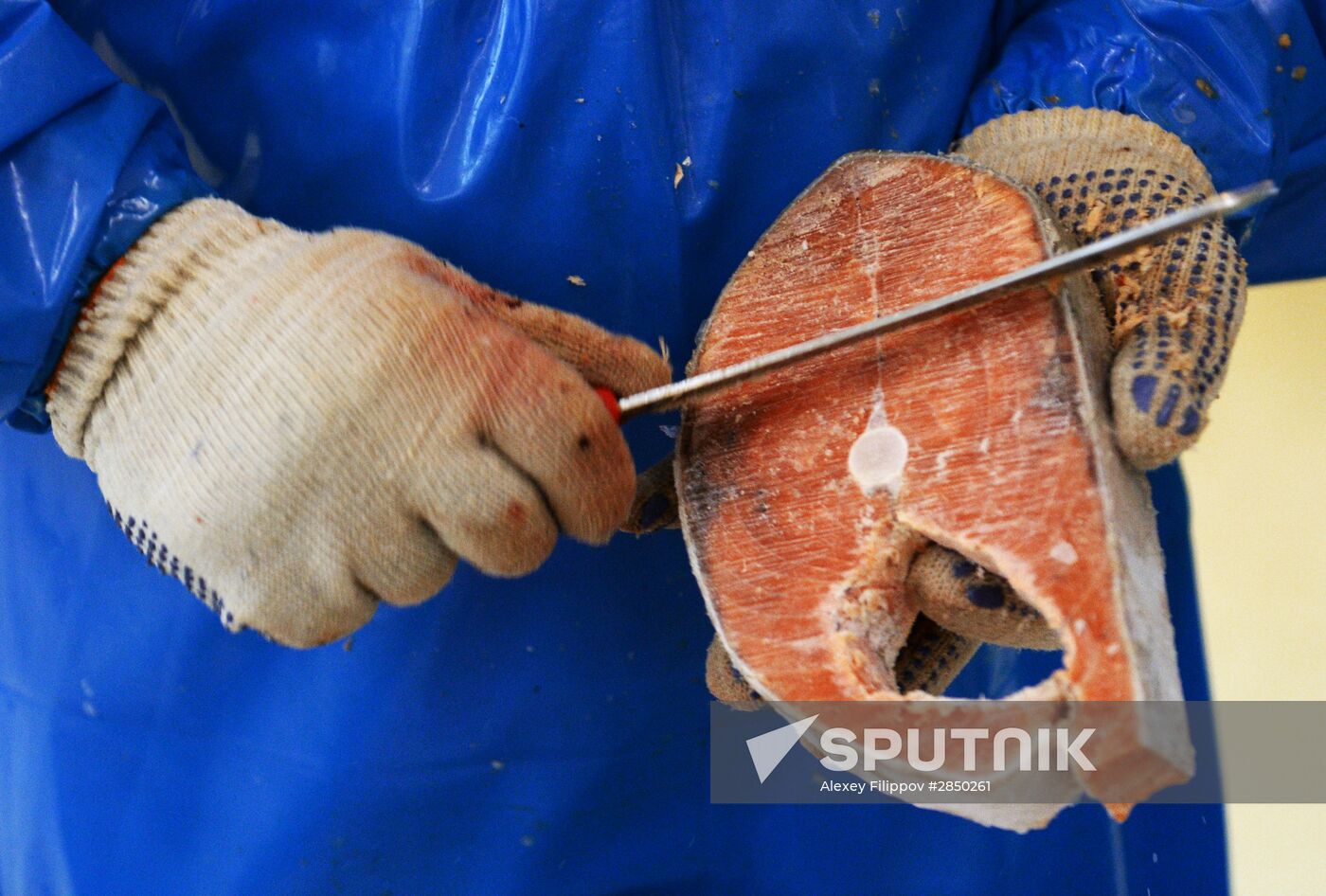 "Russian Fish Factory" fish processing plant in Moscow