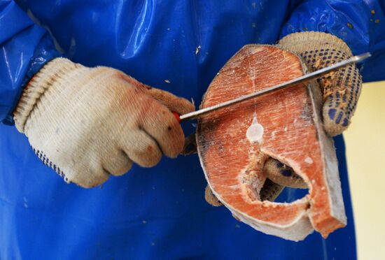 "Russian Fish Factory" fish processing plant in Moscow