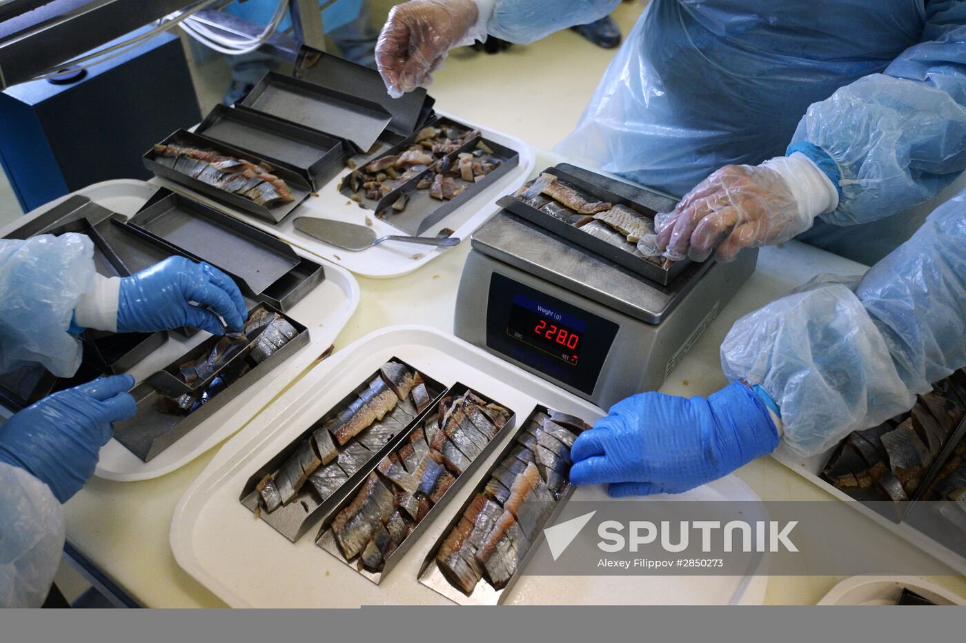 "Russian Fish Factory" fish processing plant in Moscow