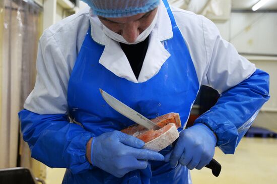 "Russian Fish Factory" fish processing plant in Moscow
