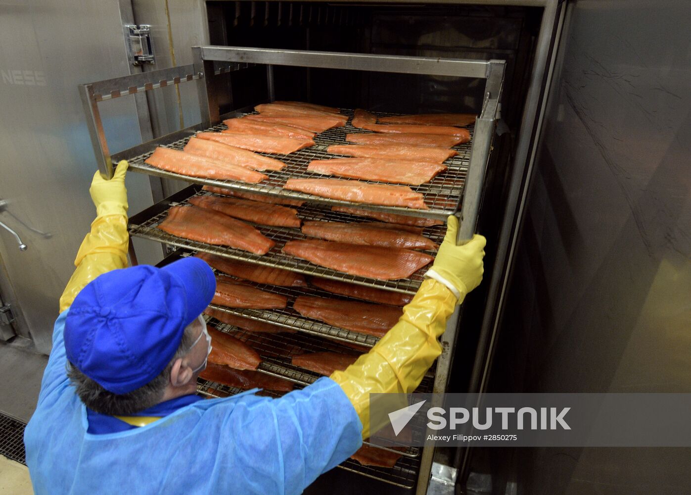 "Russian Fish Factory" fish processing plant in Moscow