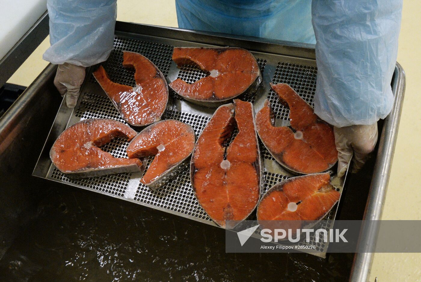"Russian Fish Factory" fish processing plant in Moscow