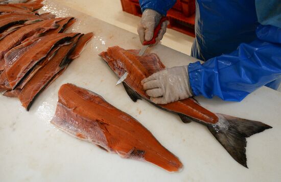 "Russian Fish Factory" fish processing plant in Moscow