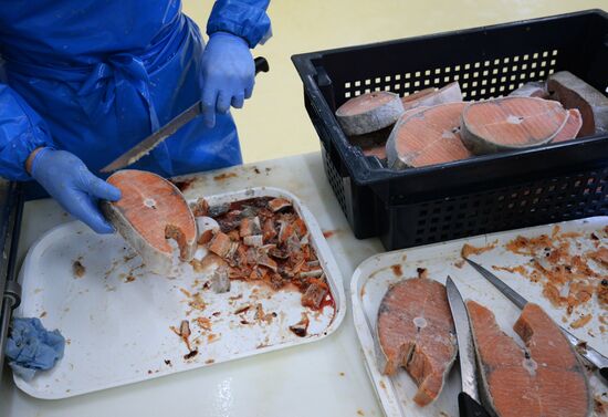 "Russian Fish Factory" fish processing plant in Moscow