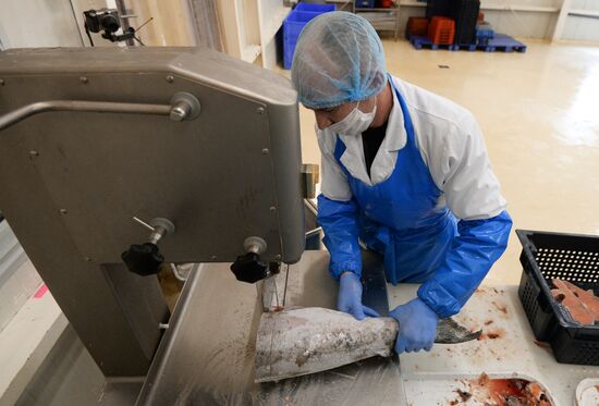 "Russian Fish Factory" fish processing plant in Moscow