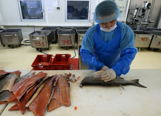 "Russian Fish Factory" fish processing plant in Moscow