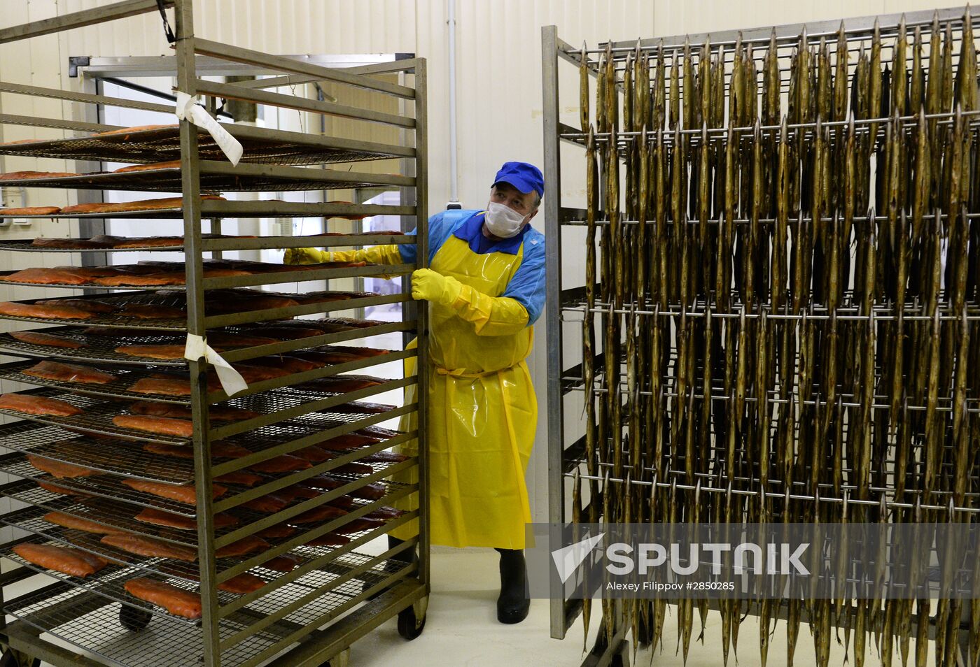 "Russian Fish Factory" fish processing plant in Moscow