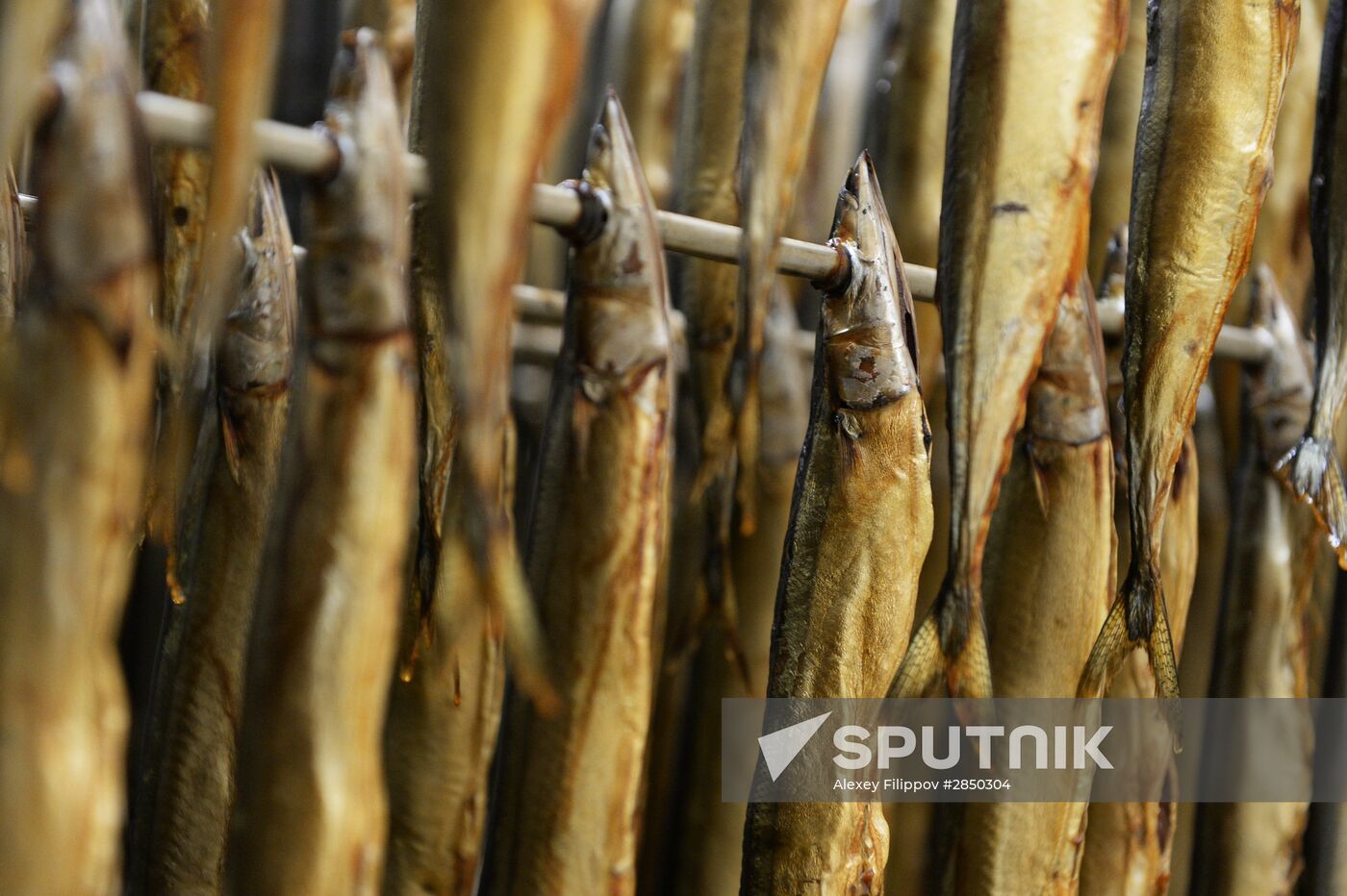 "Russian Fish Factory" fish processing plant in Moscow