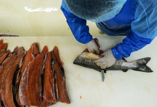 "Russian Fish Factory" fish processing plant in Moscow
