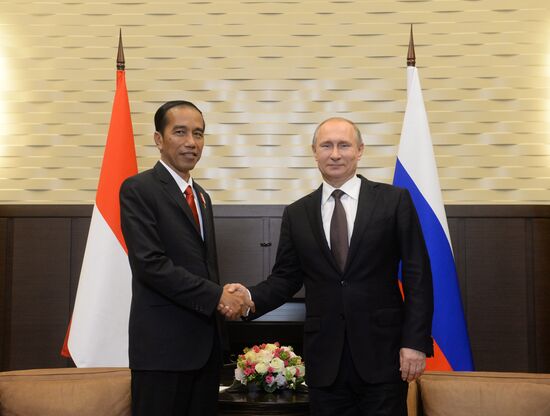 Vladimir Putin's limited attendance meeting with President of Indonesia Joko Widodo