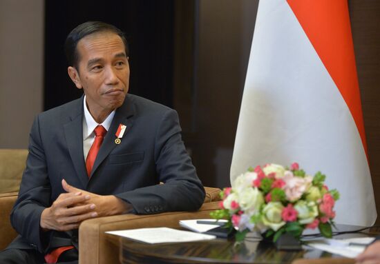 Vladimir Putin meets with President of Indonesia Joko Widodo