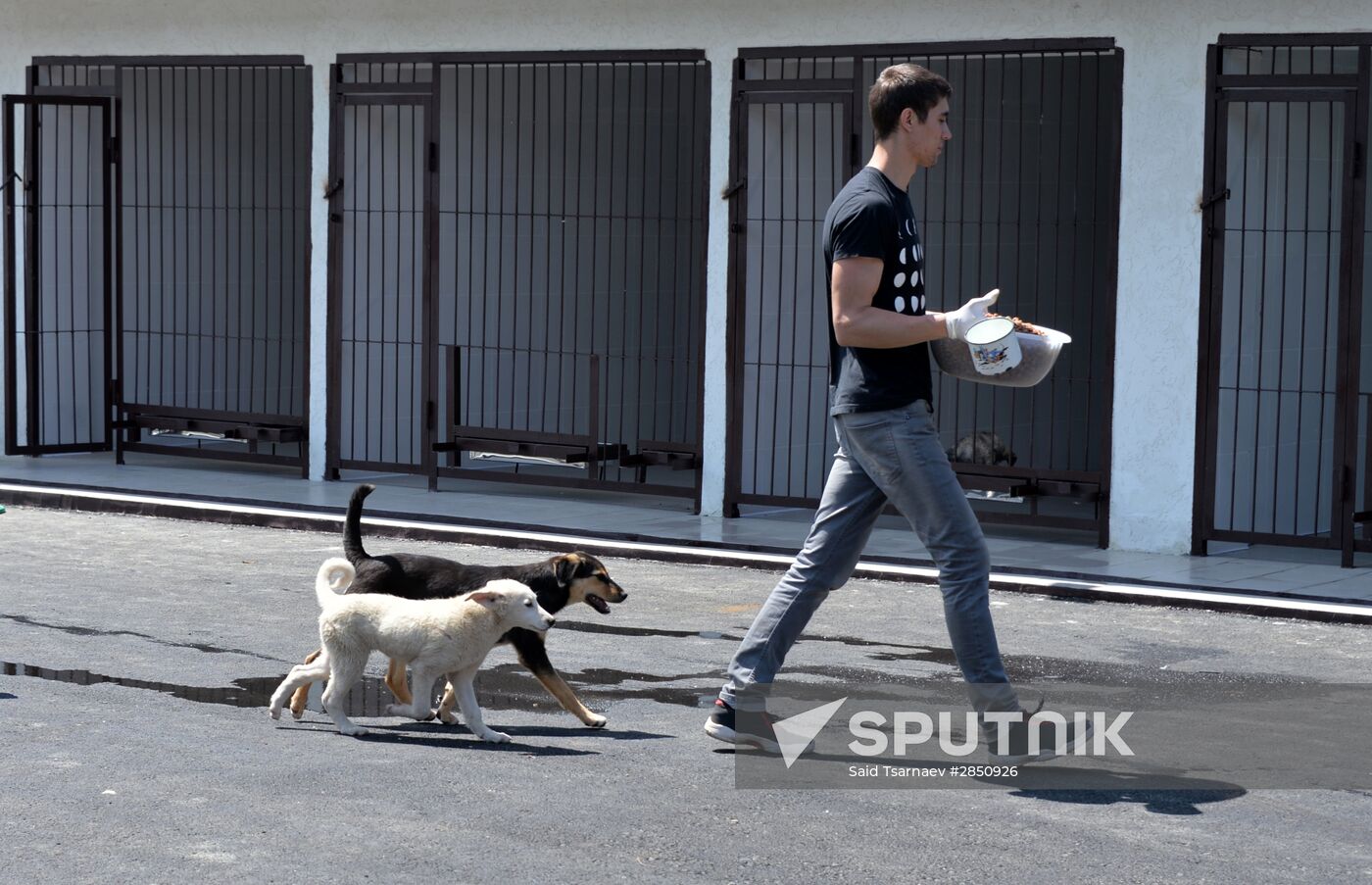 Animal shelter in Grozny