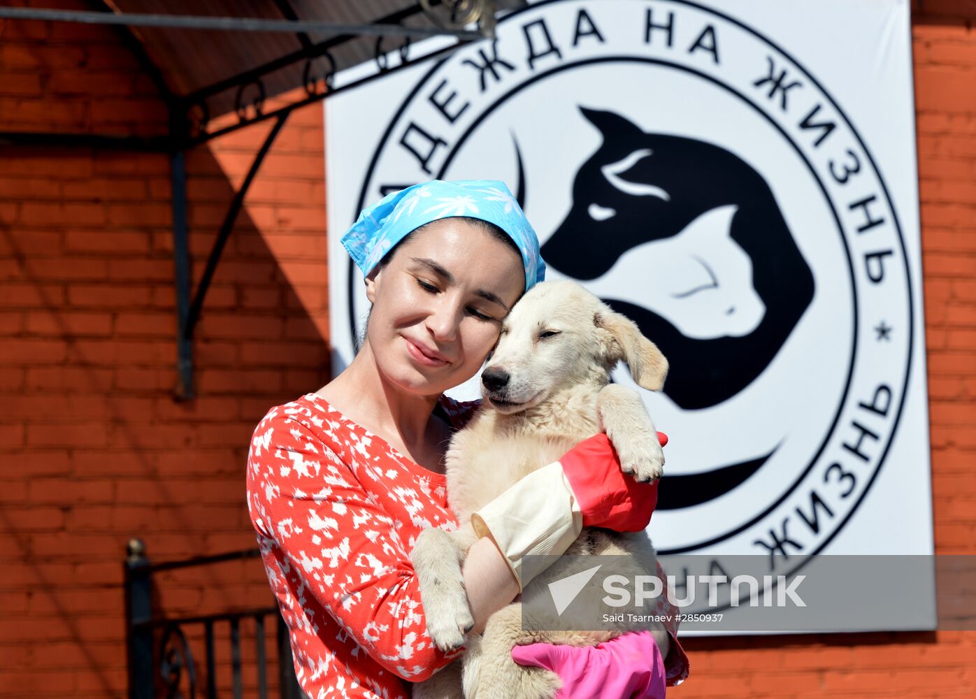 Animal shelter in Grozny