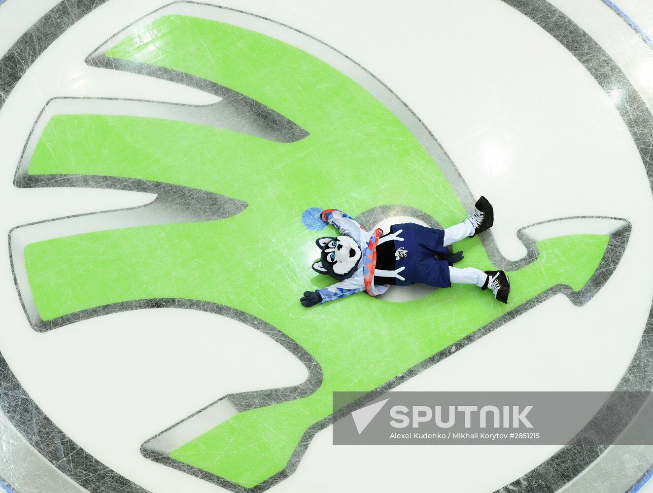 World Ice Hockey Championship. Czech Republic vs. USA