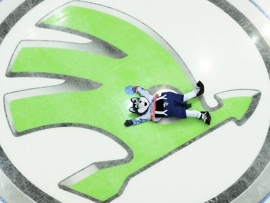 World Ice Hockey Championship. Czech Republic vs. USA