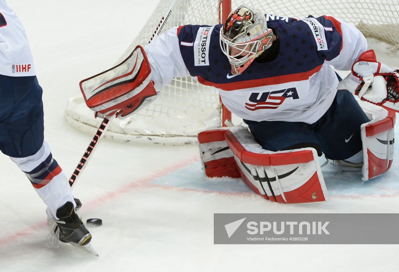 World Ice Hockey Championship. Czech Republic vs. USA