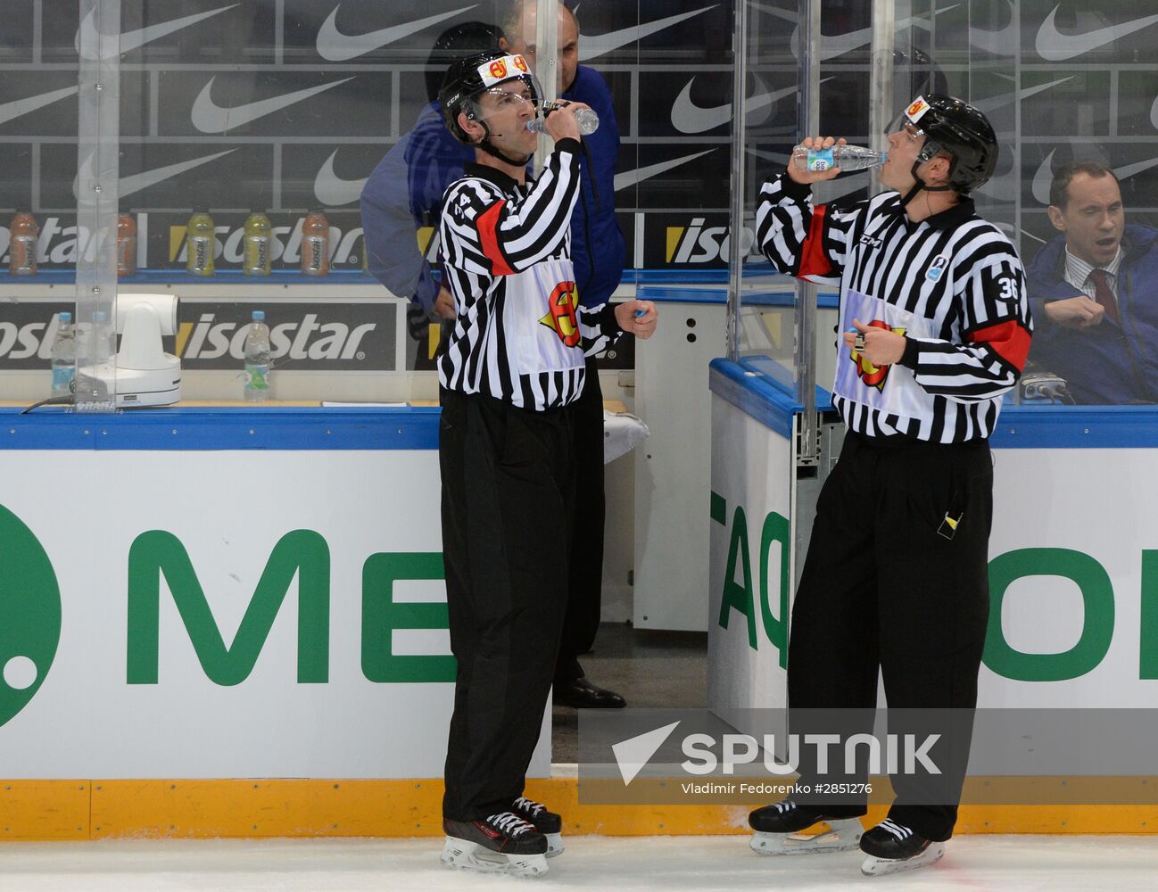 World Ice Hockey Championship. Czech Republic vs. USA