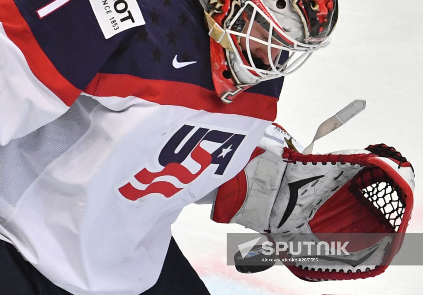 World Ice Hockey Championship. Czech Republic vs. USA