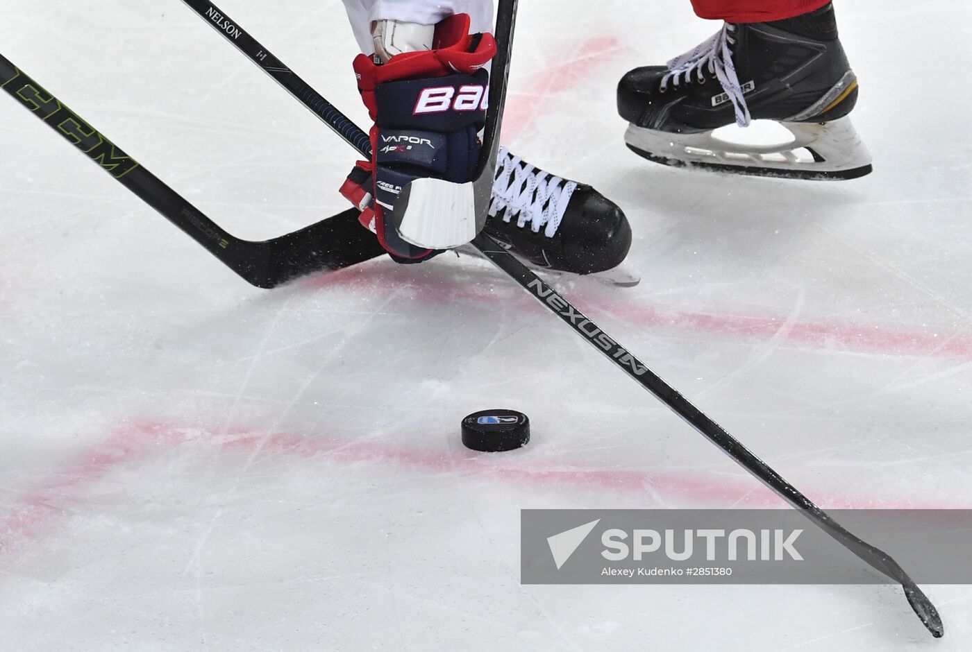 World Ice Hockey Championship. Czech Republic vs. USA