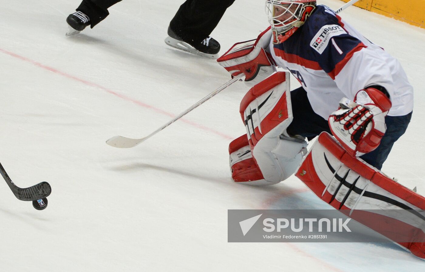 World Ice Hockey Championship. Czech Republic vs. USA