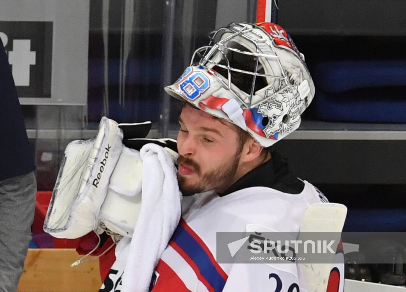 2016 IIHF World Championship. Czech Republic vs. United States
