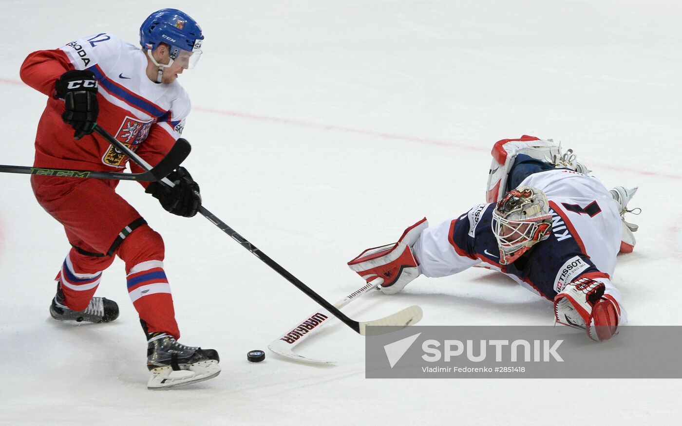 World Ice Hockey Championship. Czech Republic vs. USA