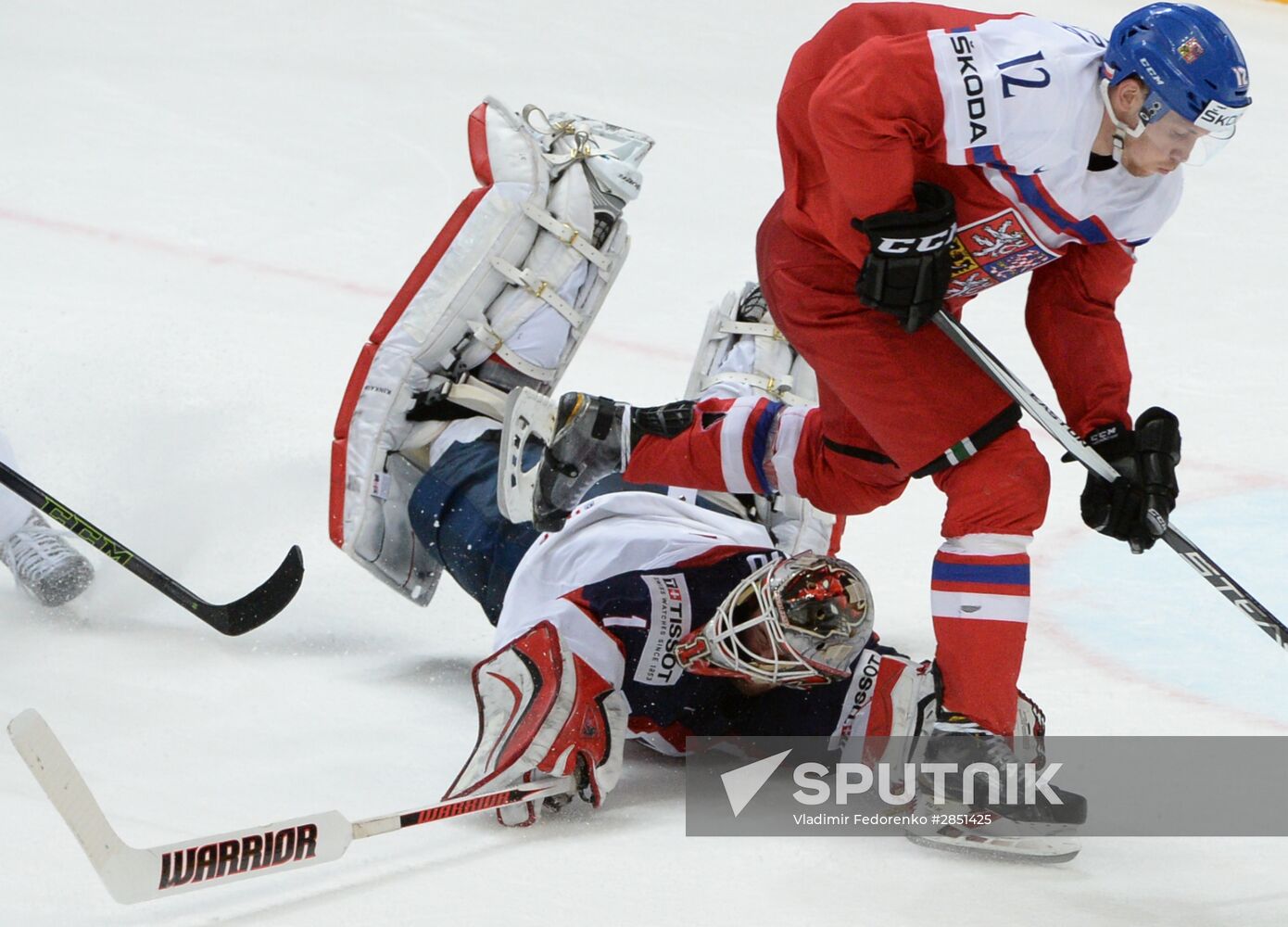 World Ice Hockey Championship. Czech Republic vs. USA