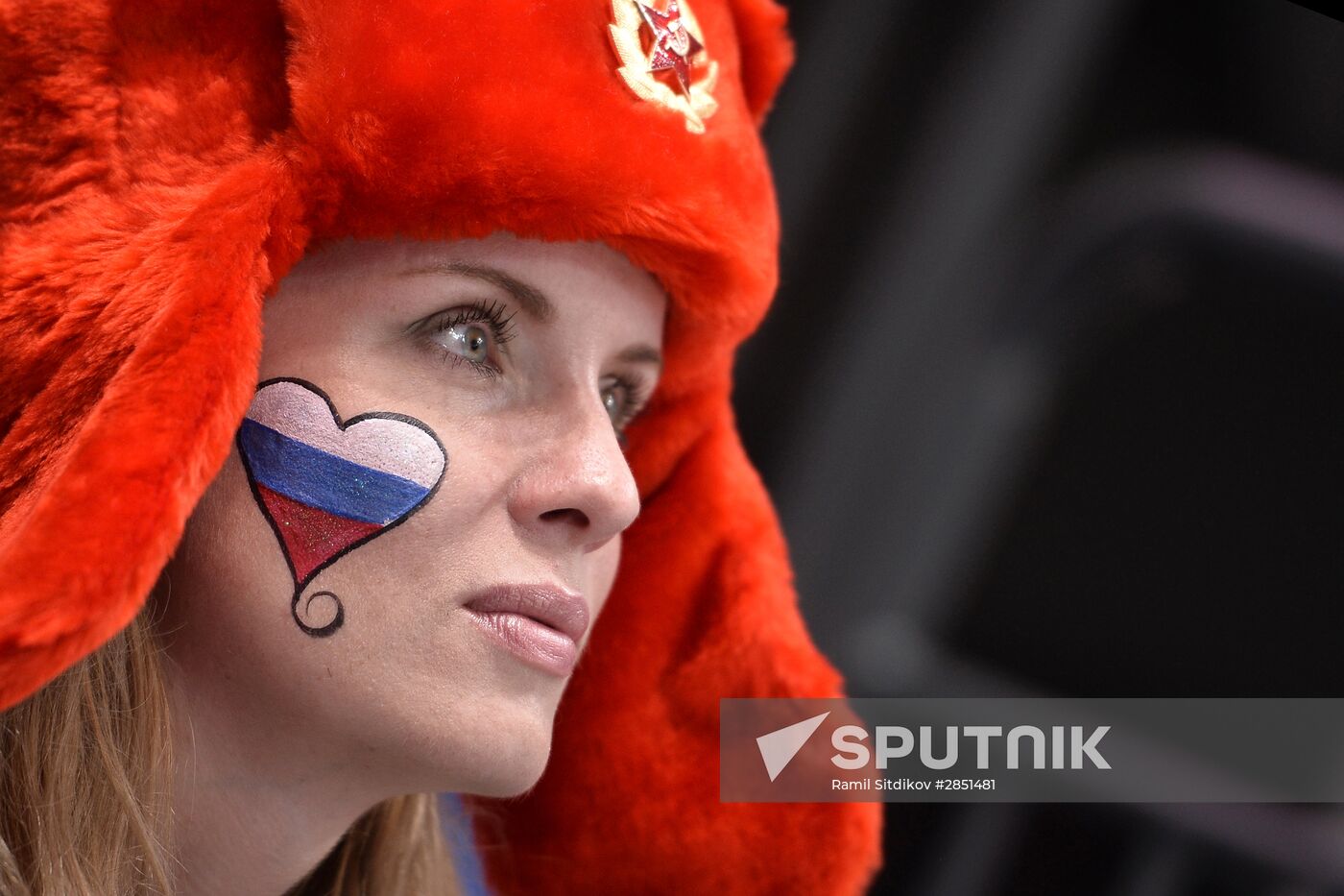 2016 IIHF World Championship. Czech Republic vs. United States