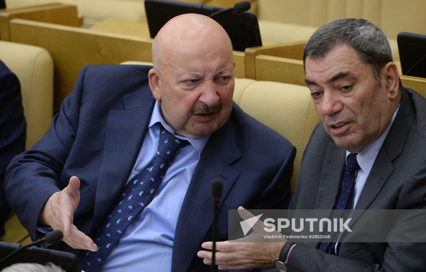 State Duma plenary meeting