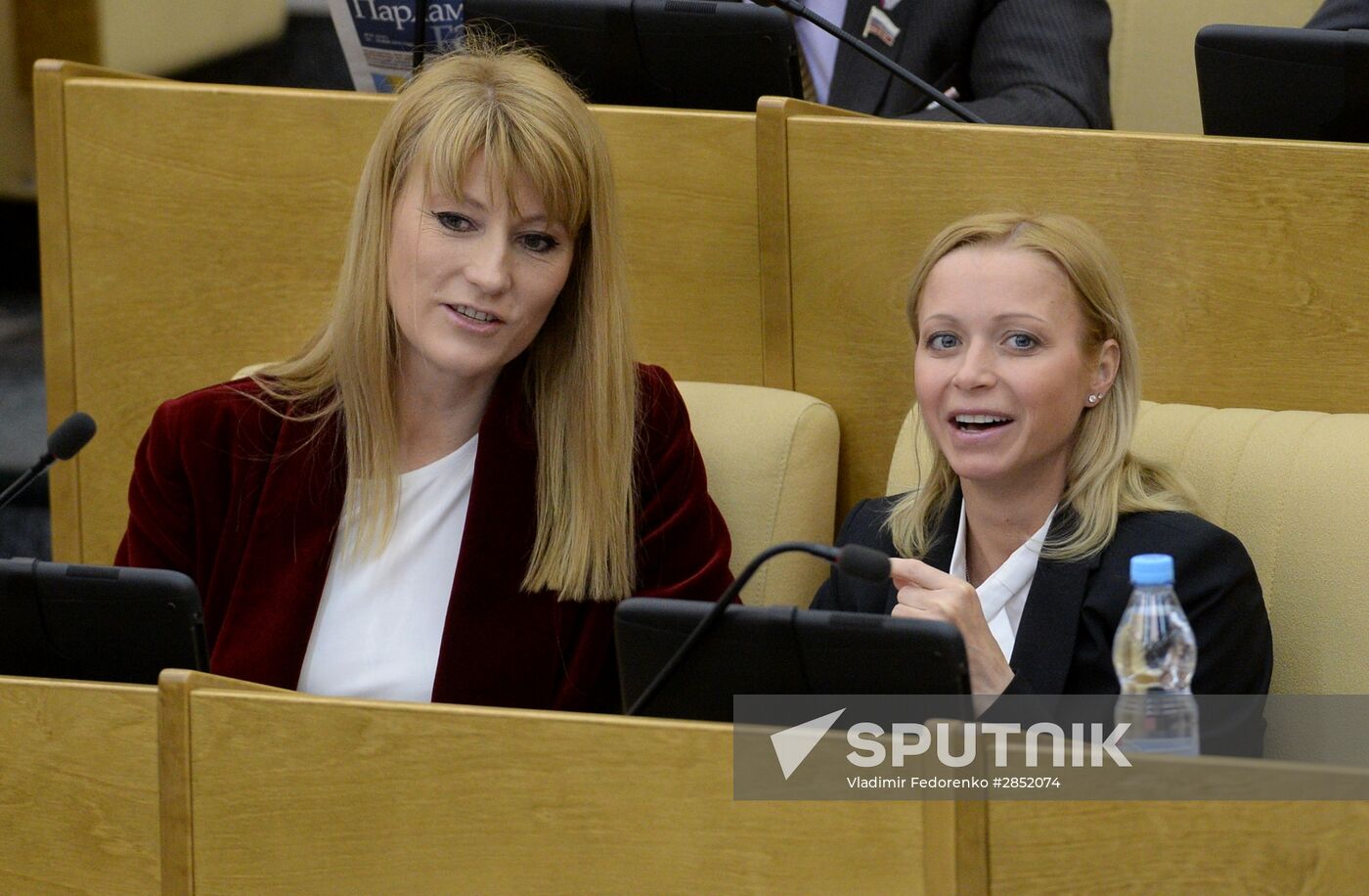 State Duma plenary meeting