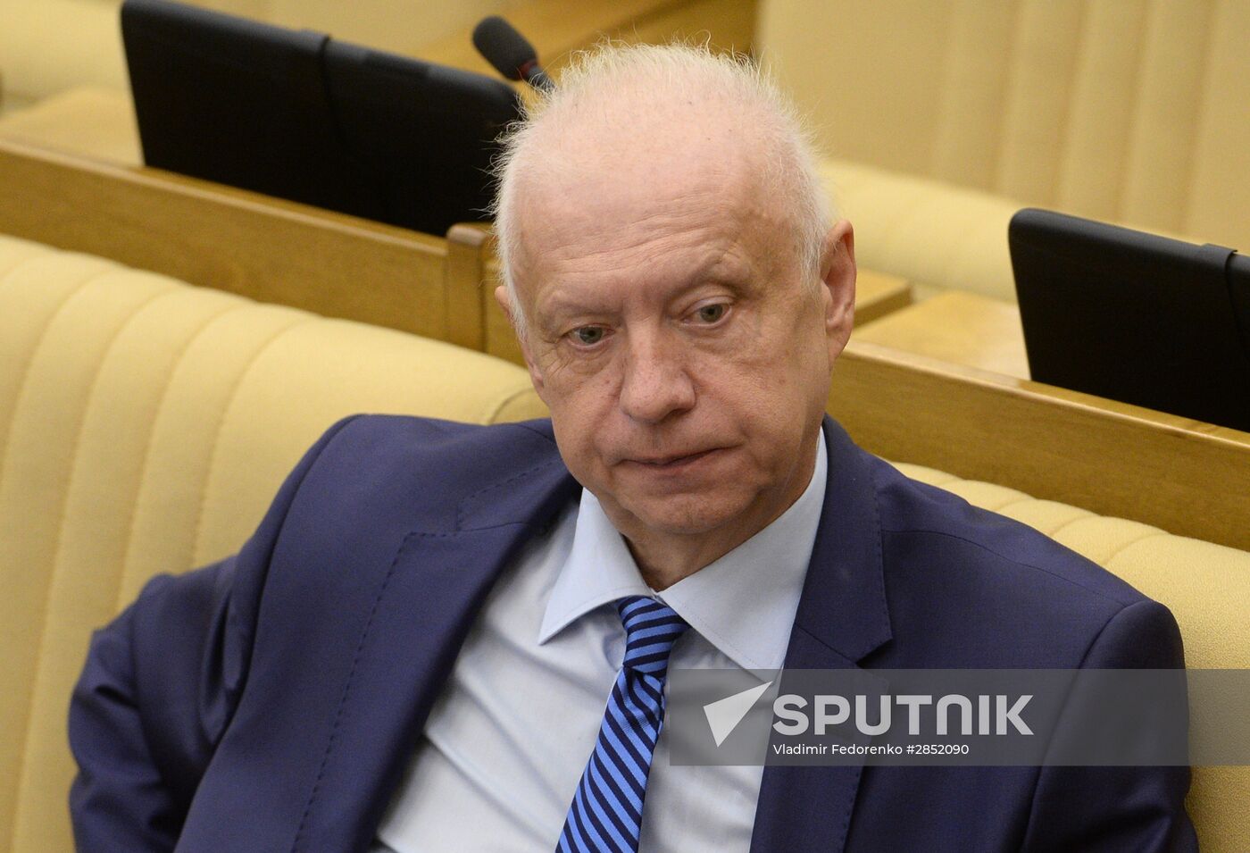 State Duma plenary meeting