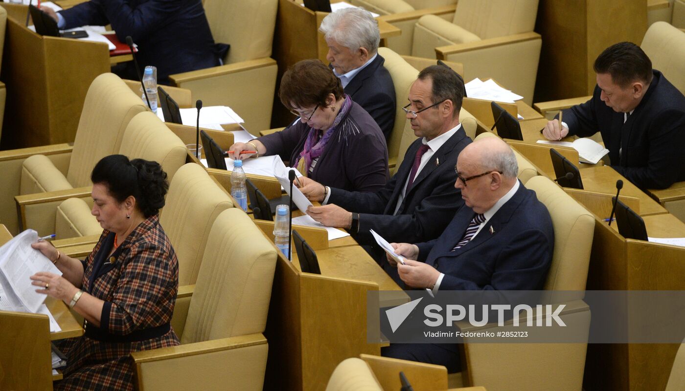 State Duma plenary meeting