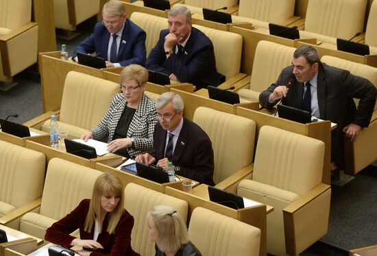 State Duma plenary meeting