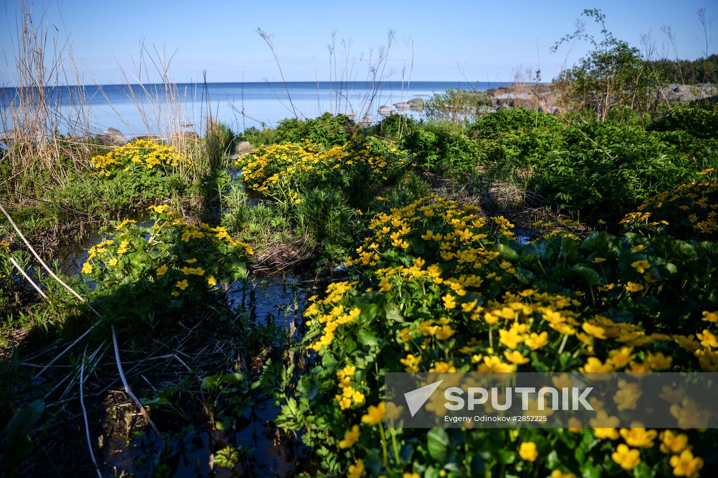 Hogland island in Gulf of Finland