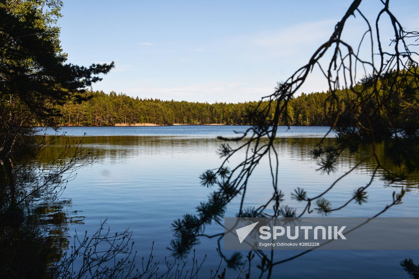 Hogland island in Gulf of Finland