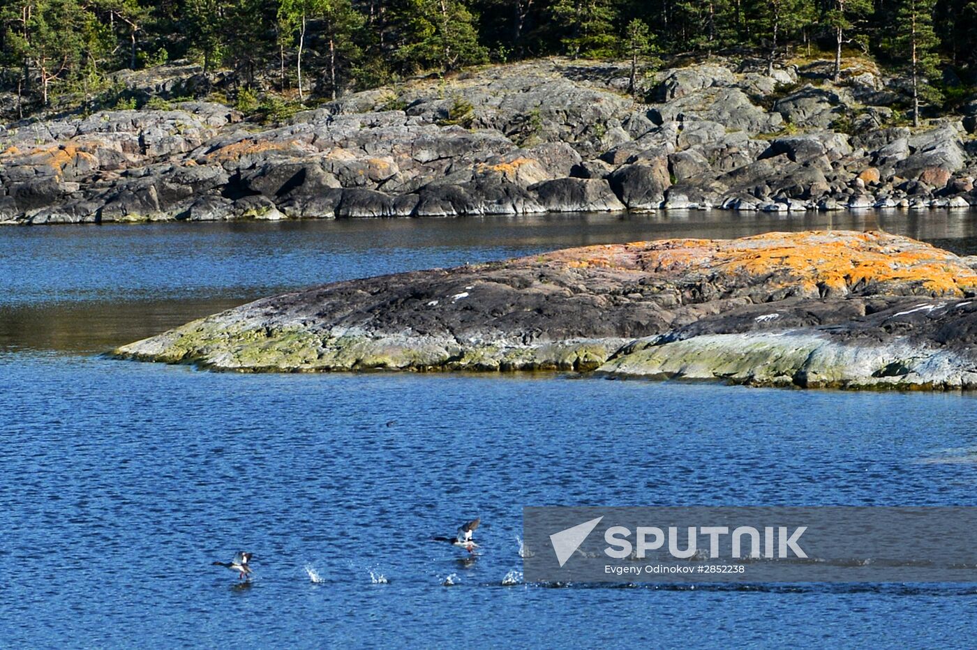 Hogland island in Gulf of Finland