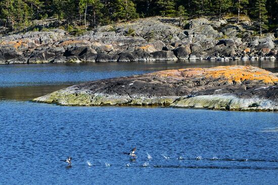 Hogland island in Gulf of Finland