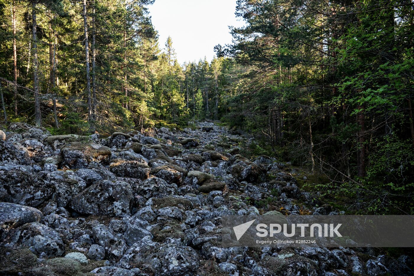 Gogland island in Gulf of Finland