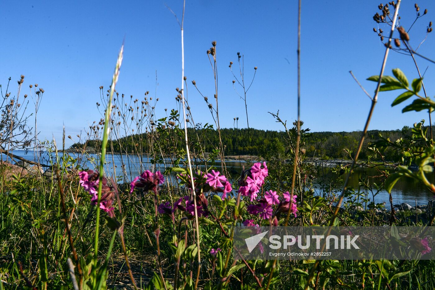 Hogland island in Gulf of Finland