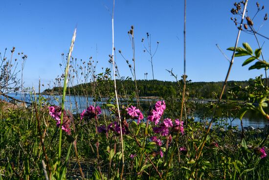 Hogland island in Gulf of Finland