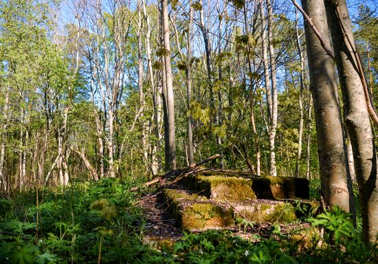 Gogland island in Gulf of Finland
