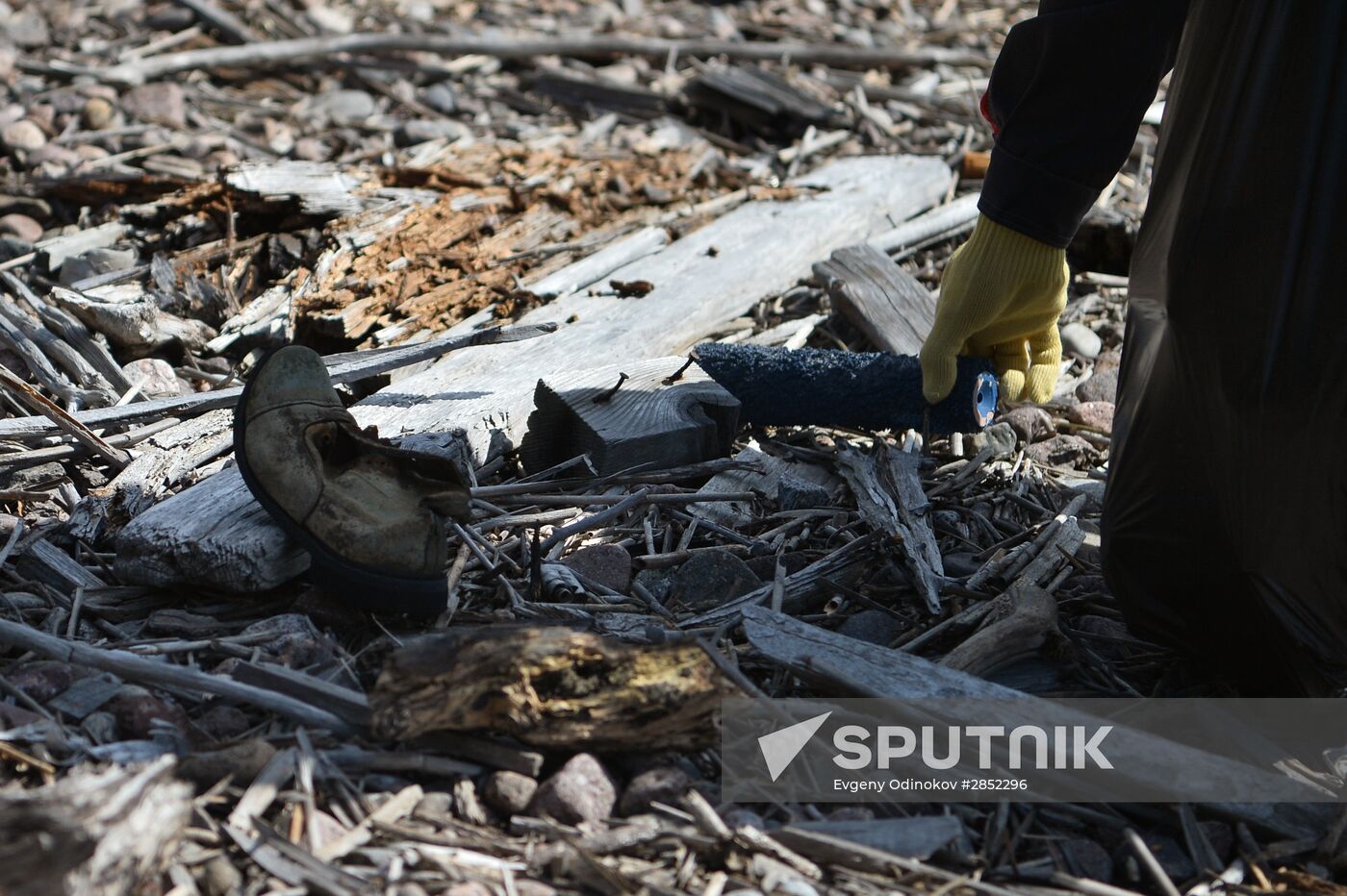 'Gogland' complex environmental expedition of the Russian Geographical Society on Gogland Island in the Gulf of Finland.