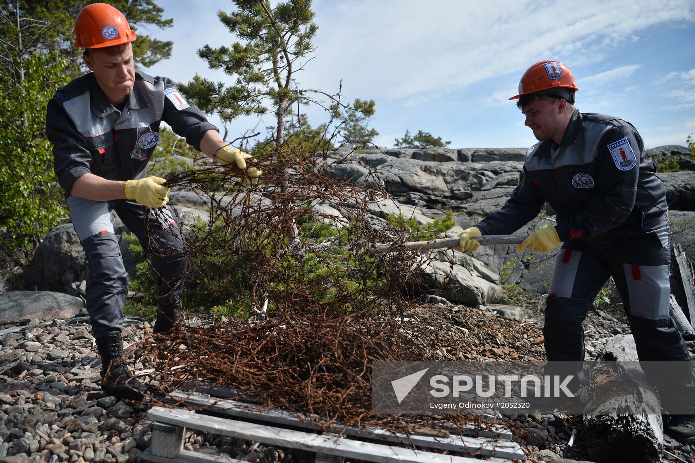 'Gogland' complex environmental expedition of the Russian Geographical Society on Gogland Island in the Gulf of Finland.