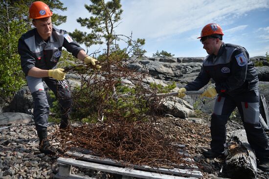 'Gogland' complex environmental expedition of the Russian Geographical Society on Gogland Island in the Gulf of Finland.