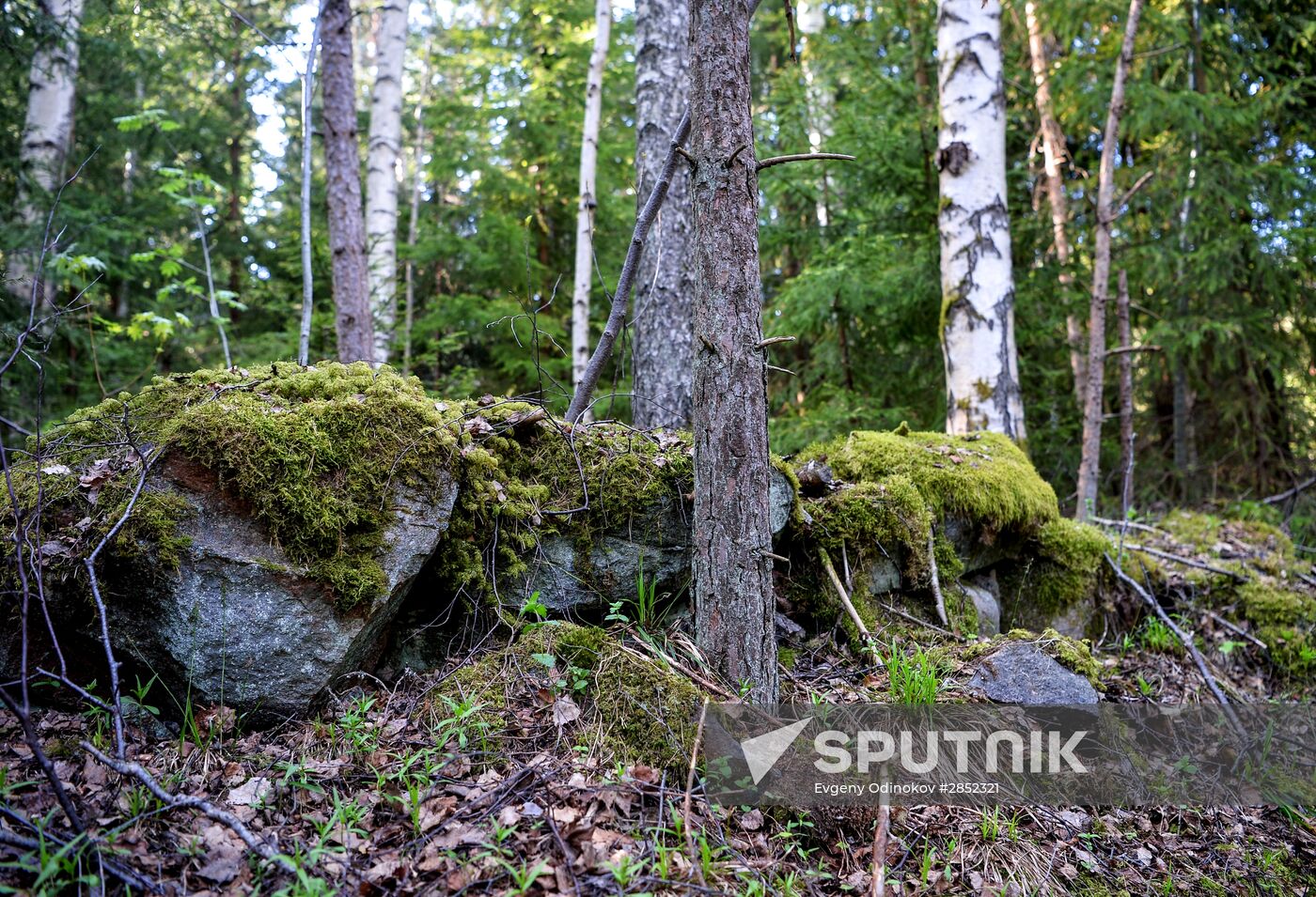 Gogland island in Gulf of Finland