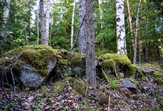 Gogland island in Gulf of Finland