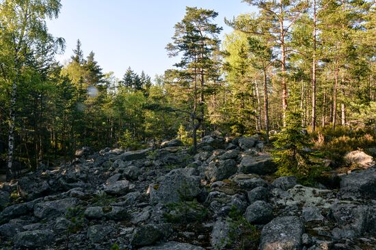 Gogland island in Gulf of Finland