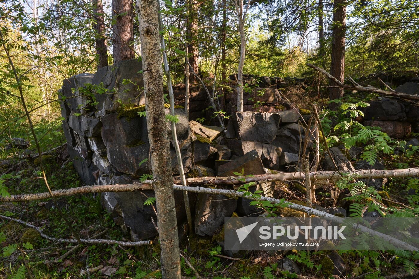 Gogland island in Gulf of Finland