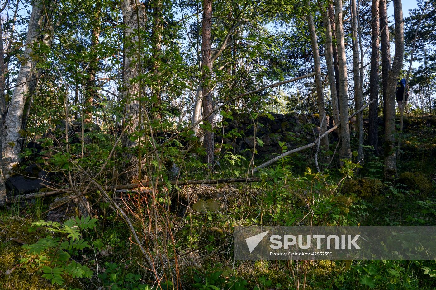 Gogland island in Gulf of Finland